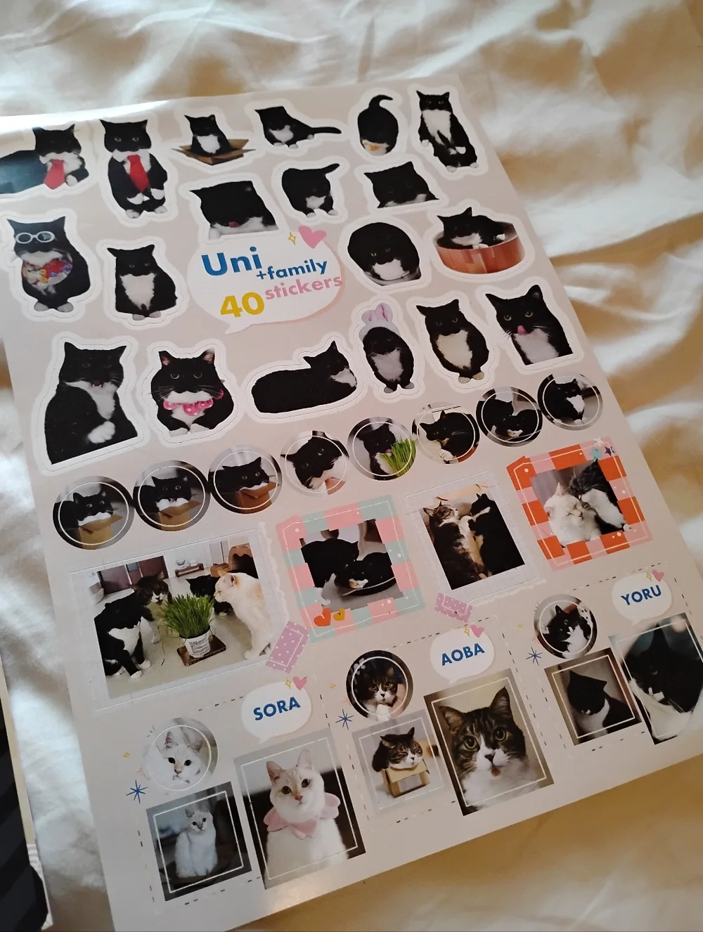 Uni Cat 2026 Calendar Stickers